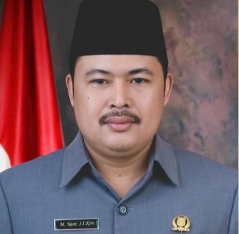 M.Nasir Ketua Nasdem Pesawaran