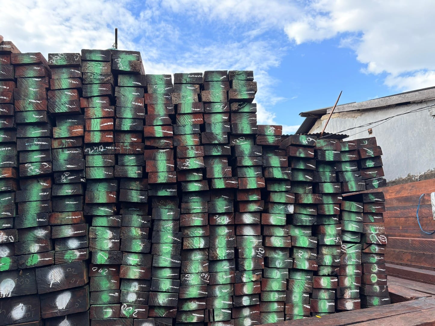 GAKKUM Kehutanan Wilayah Sulawesi