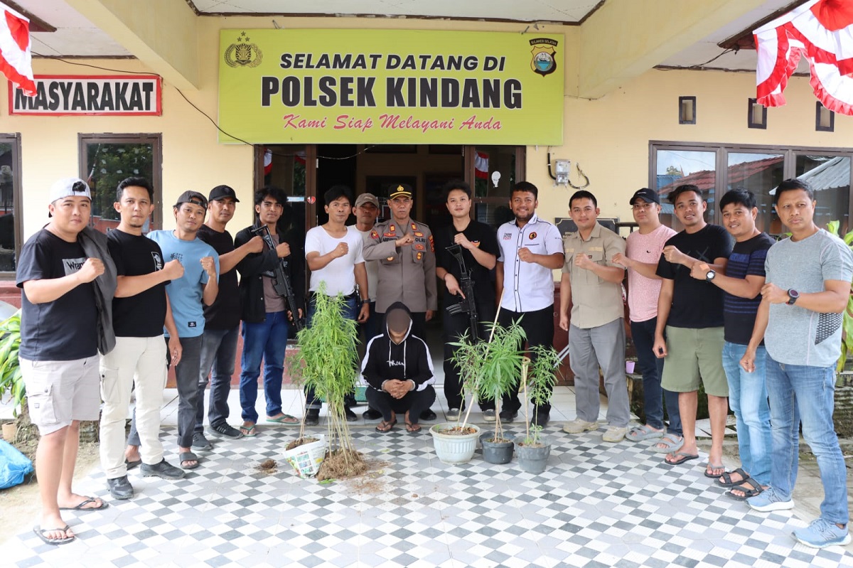 penjual ganja online